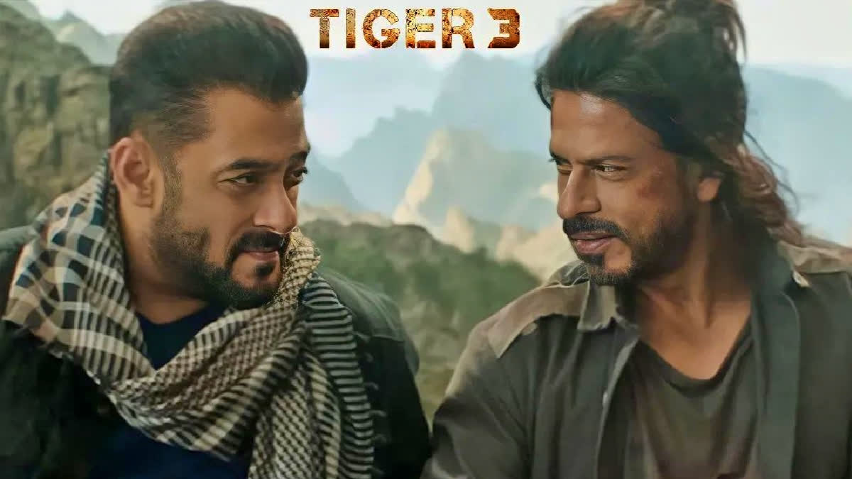 Rs 35 crore spent on Salman Khan and Shah Rukh Khan's sequence in Tiger 3