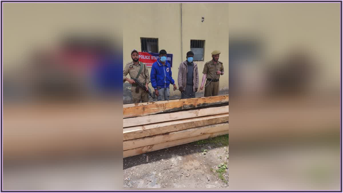 baramulla-police-recovered-40-cfts-of-illicit-timber-2-smugglers-arrested