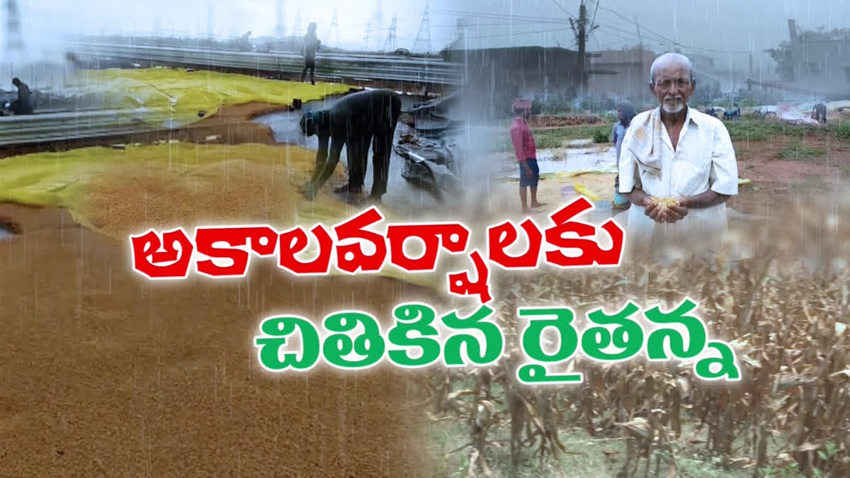 Farmers lost due to rains