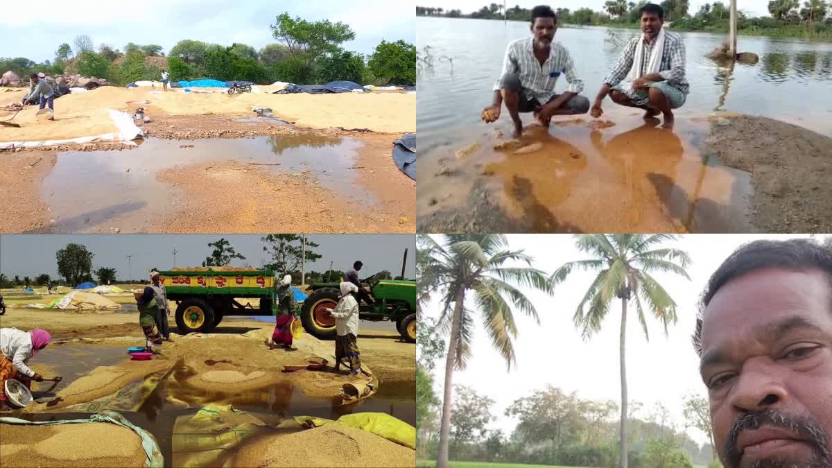 crop loss in telangana