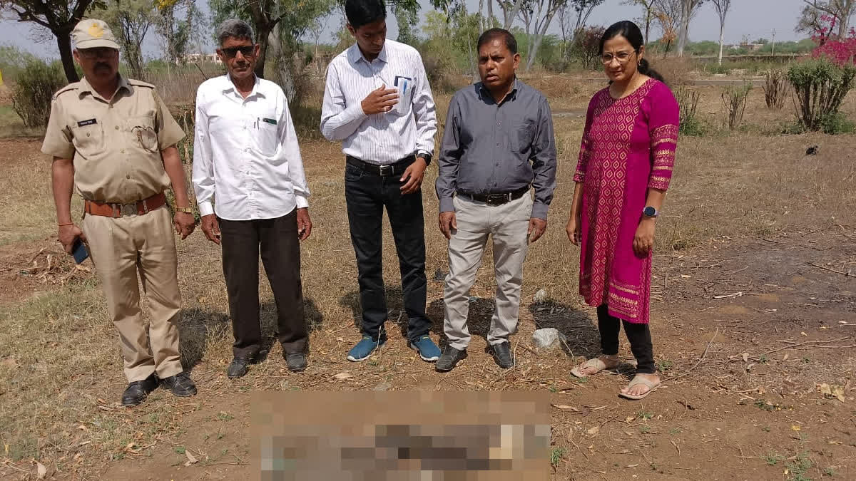 7 peacocks found dead in Ajmer