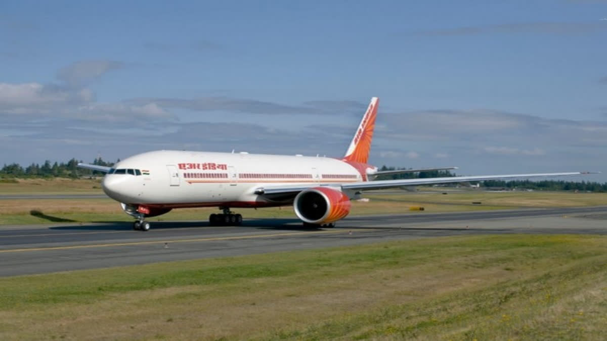 Scorpion stings passenger on Air India flight