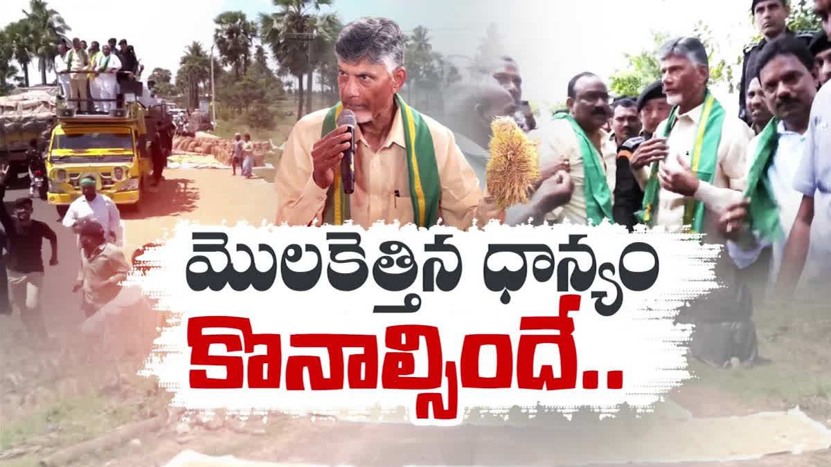 Chandrababu Naidu