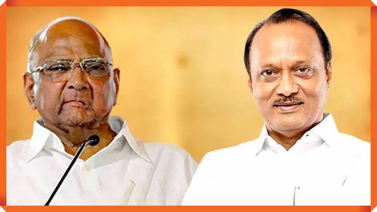 Sharad Pawar Opinion On Ajit Pawar