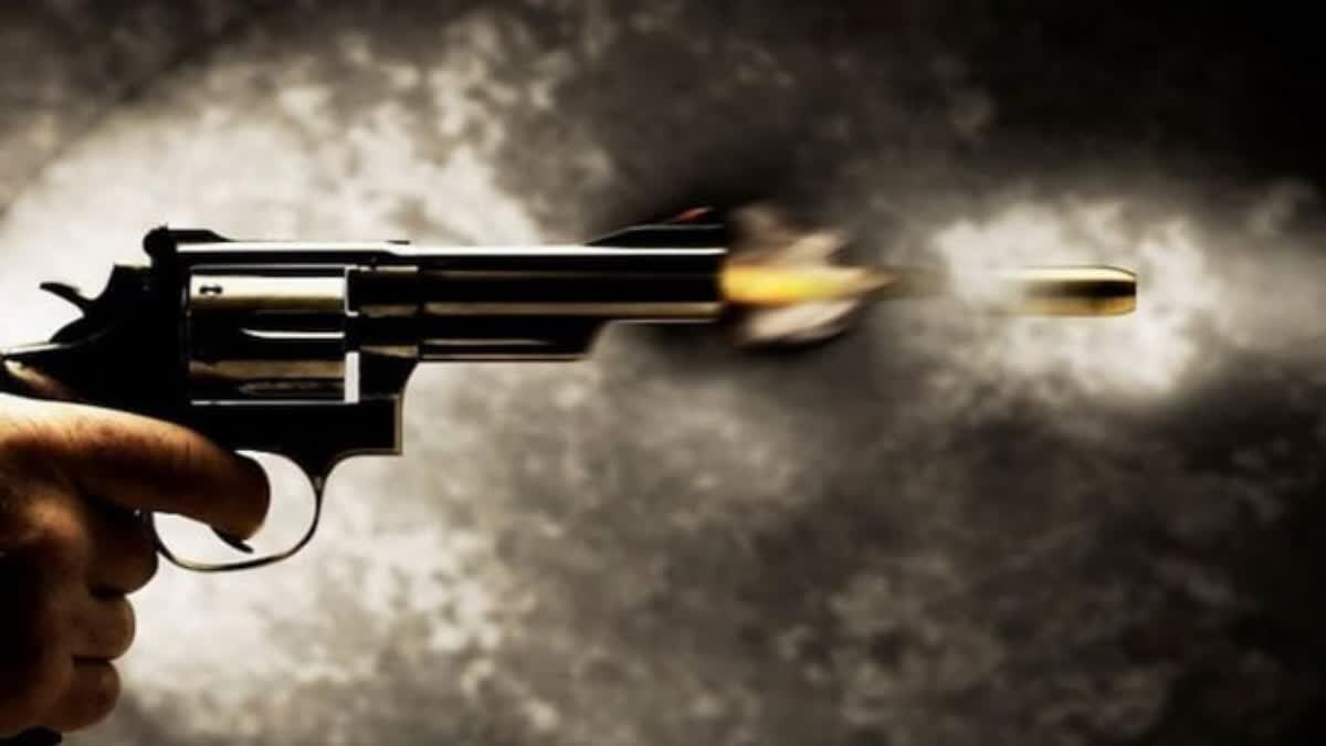 gun fires at taxas mall