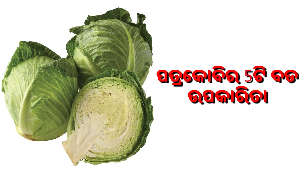 ହାର୍ଟ ଠାରୁ କେଶକୁ ମଜବୁତ ରଖିଥାଏ ପତ୍ରକୋବି