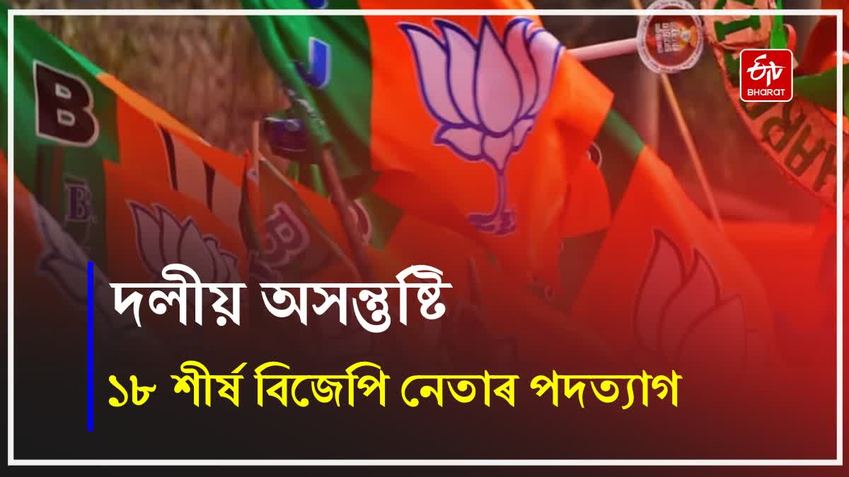 Rebellion in Bongaigaon BJP