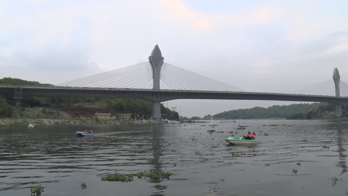 suicides at cable bridge