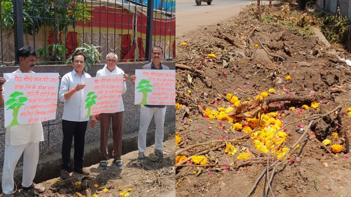 People paid tribute to trees