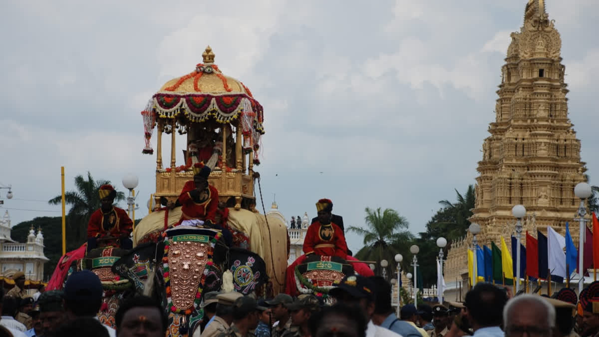 ଆଖି ବୁଜିଲା ମହିଶୂର ଦଶହରାର ଐତିହାସିକ ହାତୀ ବଳରାମ