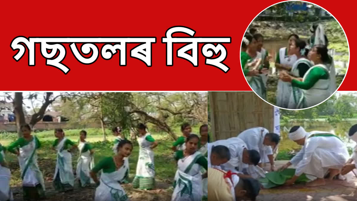 Gastolor Bihu at Tinsukia