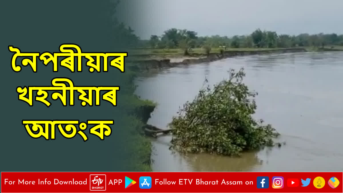 Erosion of Subansiri River