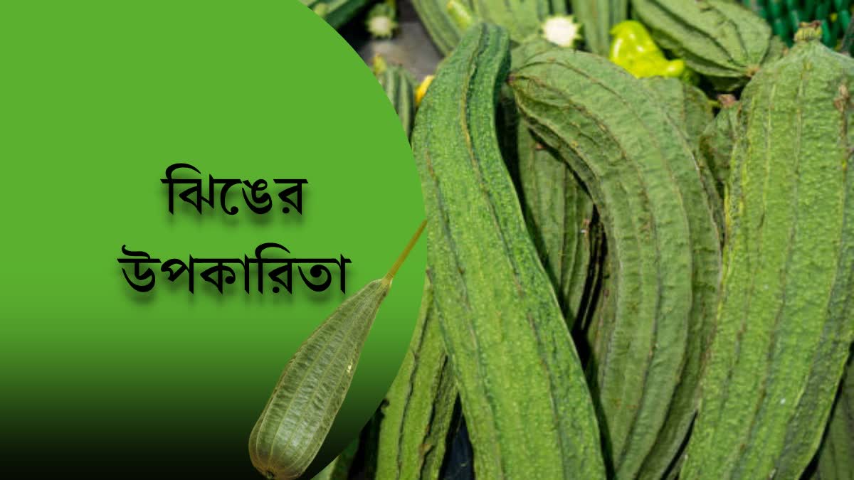 Ridge Gourd Benefits News