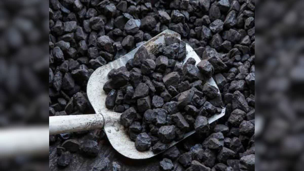 India Coal Import