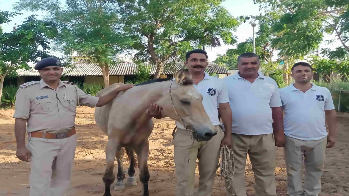 ફિલ્મ લગાનમાં જોવા મળેલી રેખાએ 32 વર્ષ પૂર્ણ કર્યા