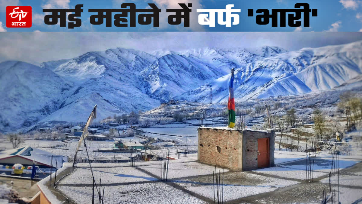 Himachal weather update