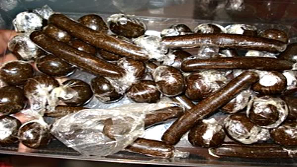 5 kg 299 grams of charas recovered in Kullu.
