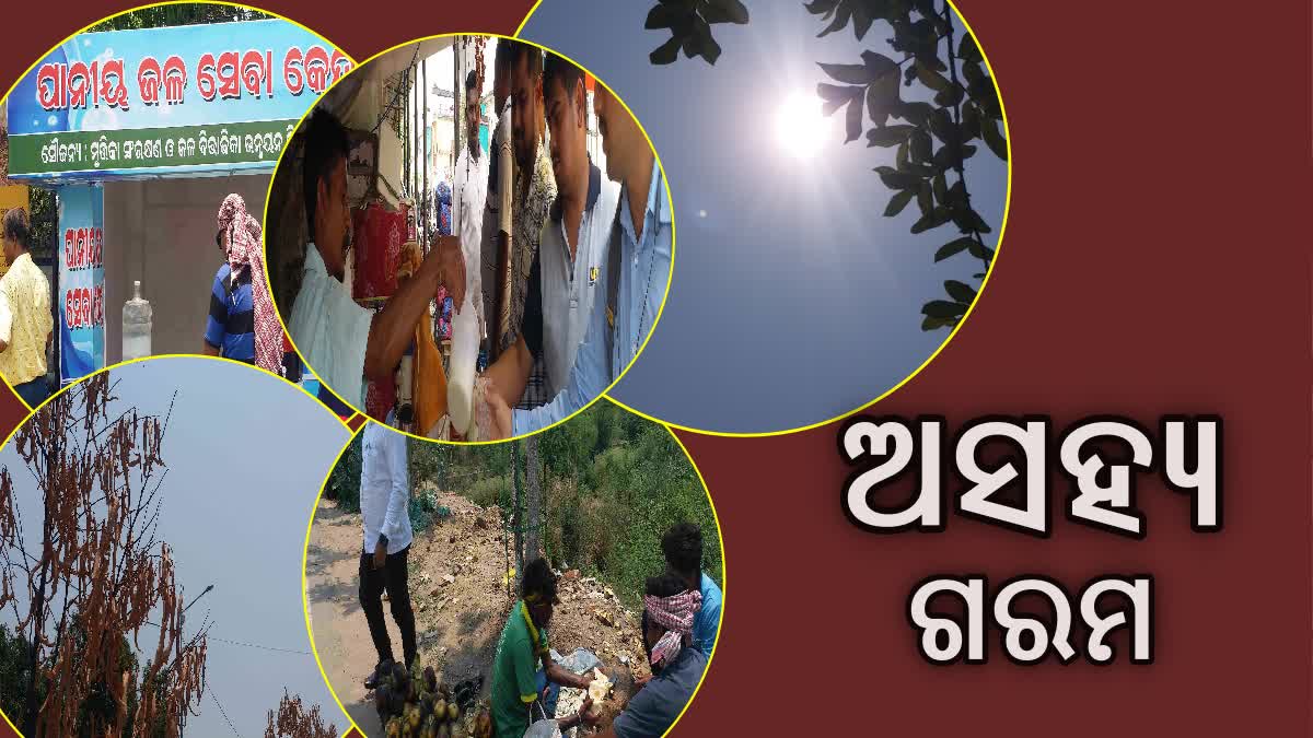 ଉତ୍କଟ ପାନୀୟଜଳର ଅଭାବ ପରିଲକ୍ଷିତ