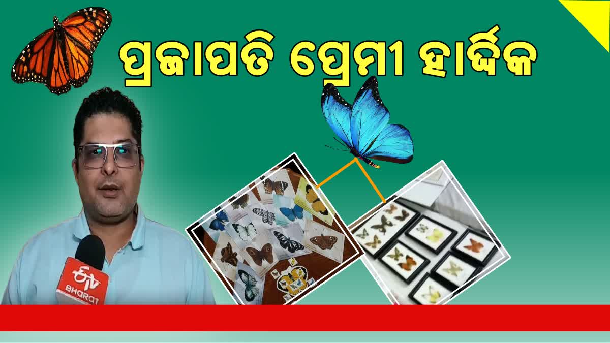 ପ୍ରଜାପଜି ପ୍ରେମୀ ହାର୍ଦ୍ଦିକ ଭ୍ରମର