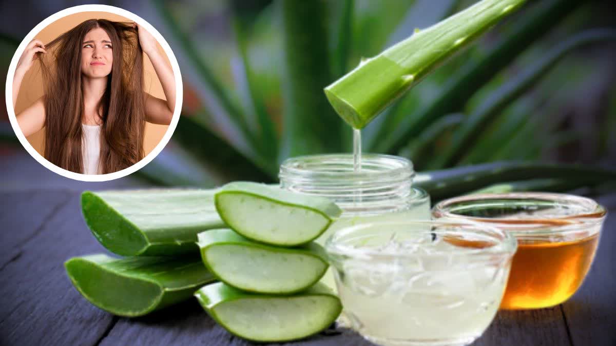 Aloevera Gel