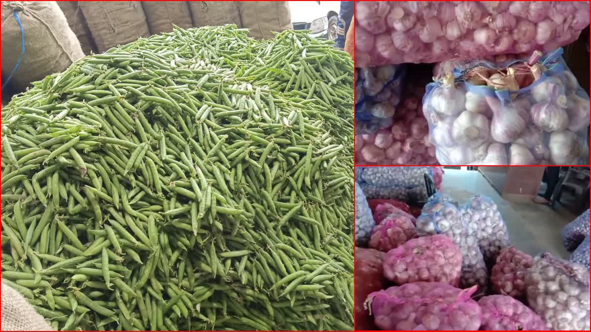 Garlic and French Beans price in Vegetable Market Solan.
