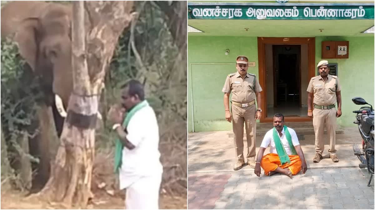 10000 rupees-fined for the person who was disturbed-a-wild-elephant-in dharmapuri