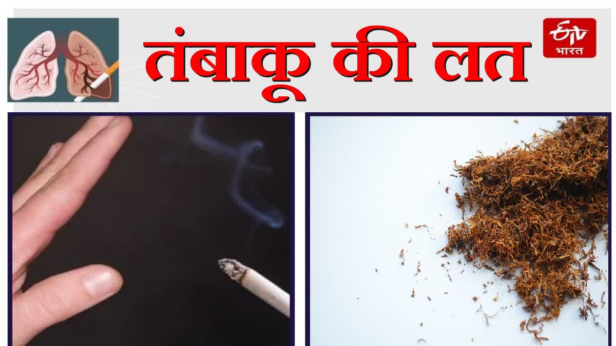 tobacco addiction in Himachal