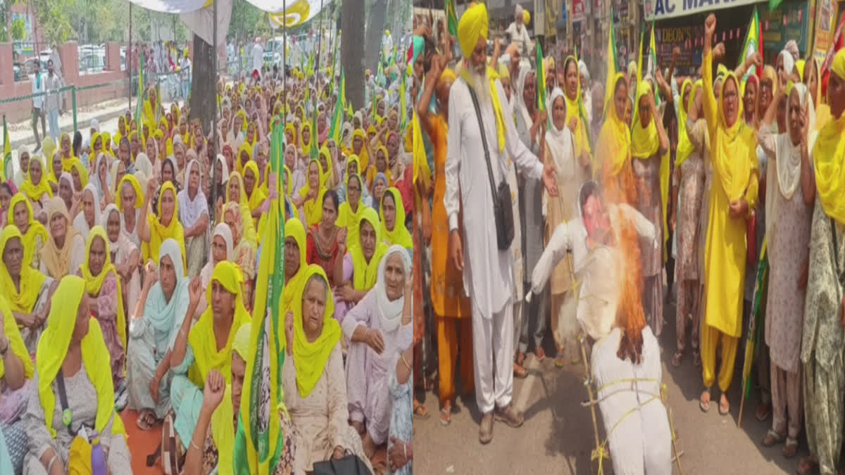 BKU staged a demonstration in Bathinda in favor of wrestlers