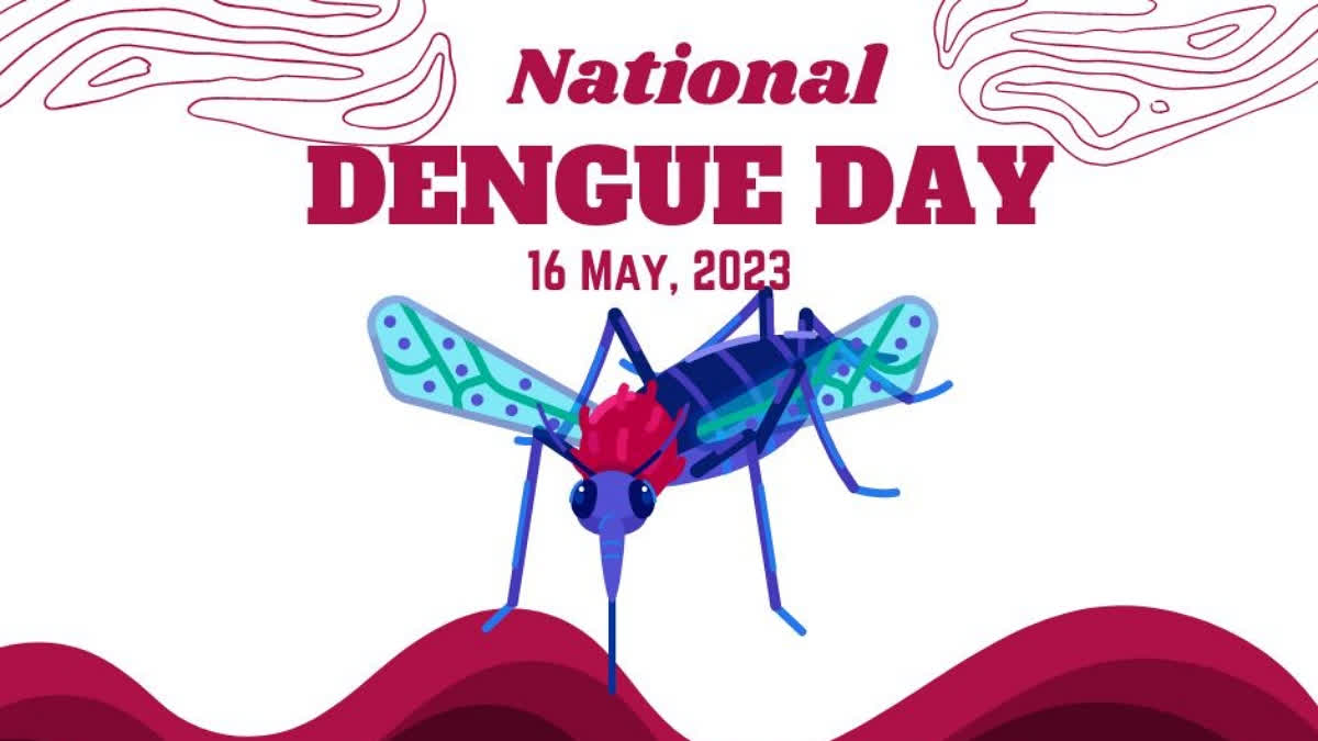 National Dengue Day 2023