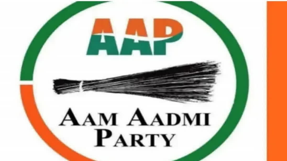Bypolls Aap Bags Jalandhar Lok Sabha Seat Bjp Allies Apna Dal And Udp Bjd Win In States