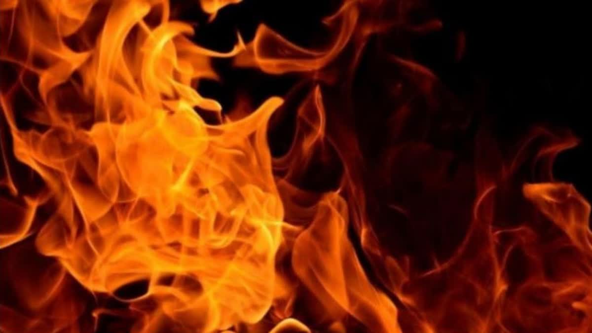 kochi  fire broke out near info park kochi  fire broke out  fire kochi  kerala news  kerala latest news  കൊച്ചി തീപിടിത്തം  കൊച്ചി ഇന്‍ഫോ പാര്‍ക്ക്  തീപിടിത്തം  കേരളം  കേരള