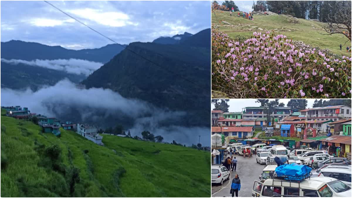 the beauty of tungnath chopta route