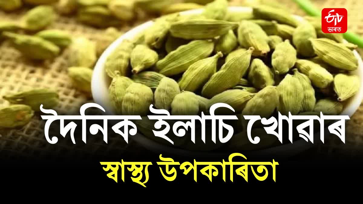 Surprising Health Benefits Of Eating Cardamom Every Day, know the health benefits