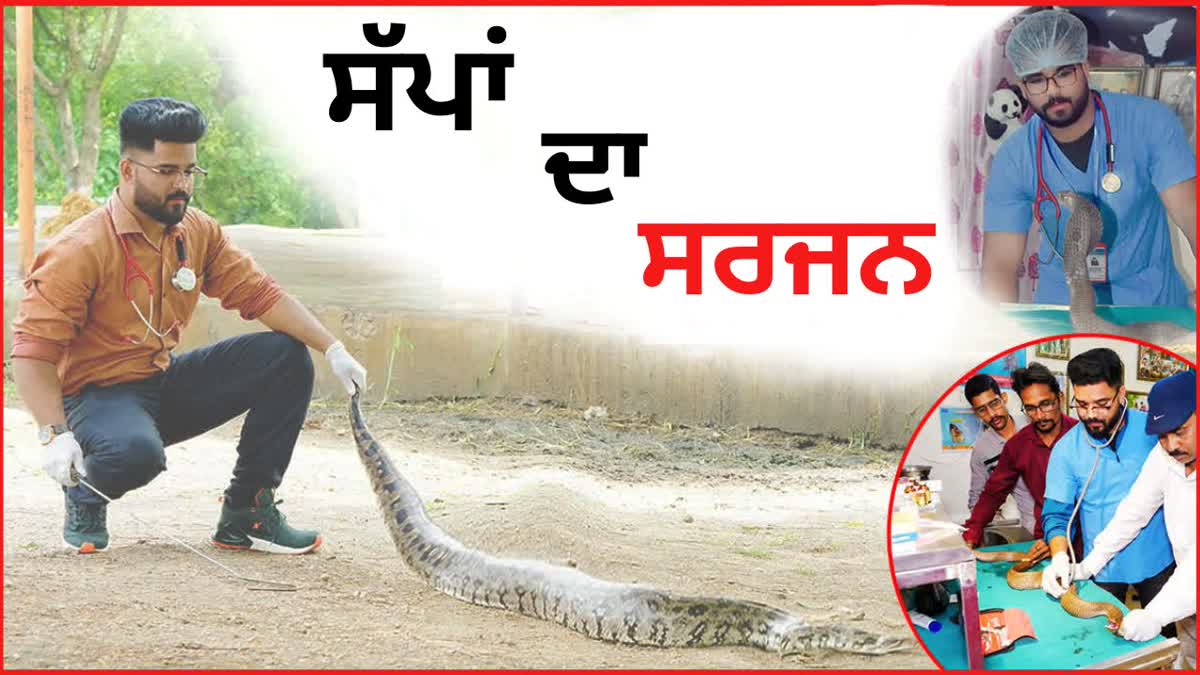 COBRA SNAKES SURGERY BY DR ANKIT MESHRAM