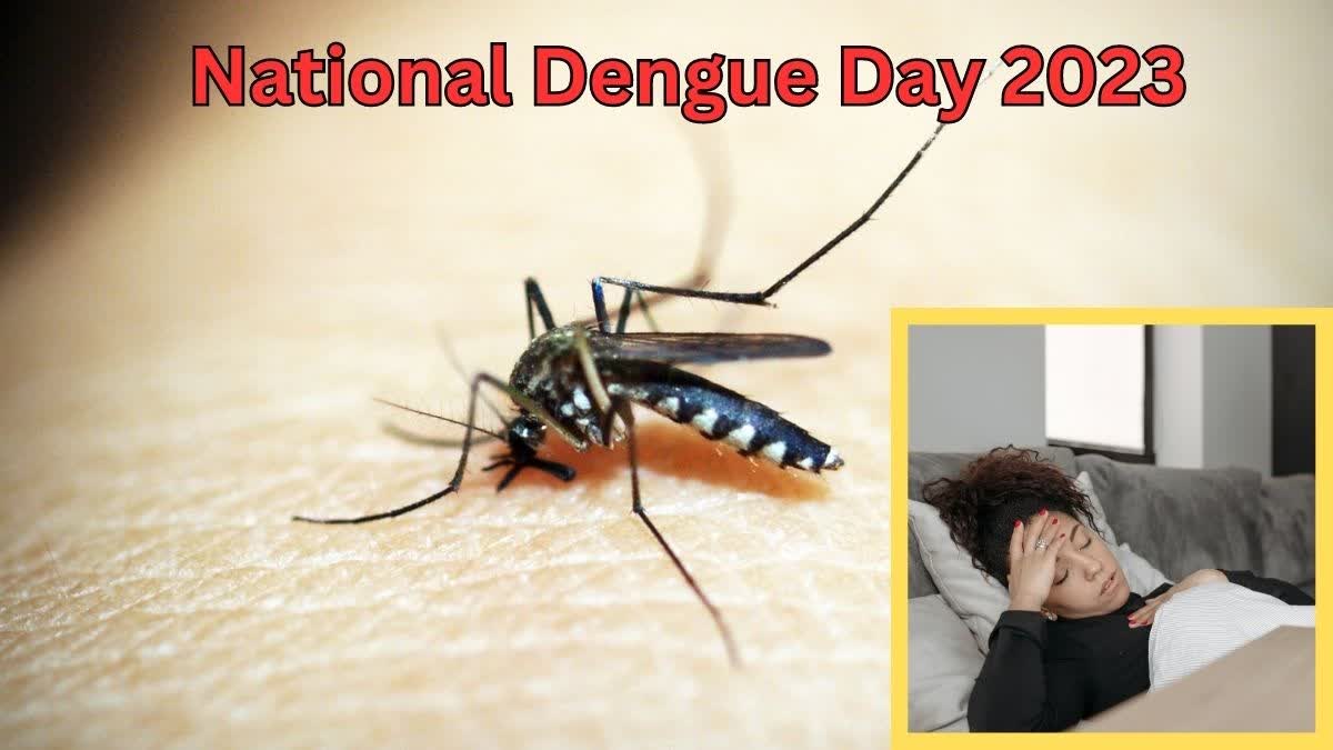 National Dengue Day 2023