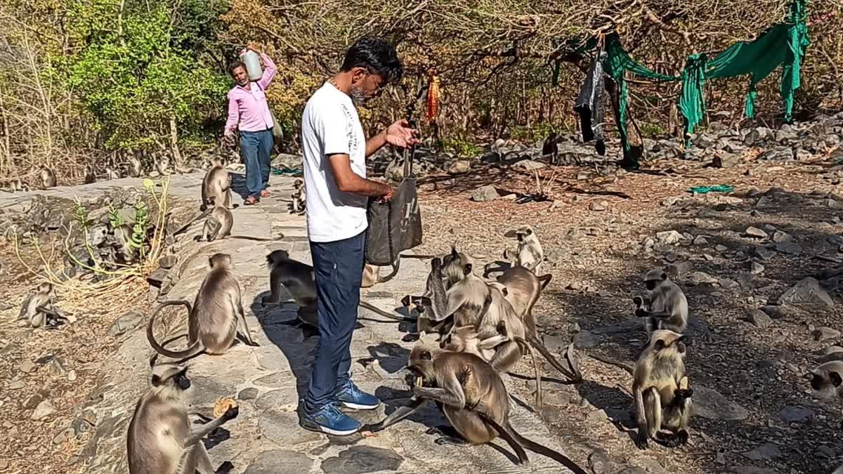Junagadh Animal Lover: આકરી ગરમીમાં પશુ-પક્ષીઓ માટે શરૂ થયો અનોખો સેવા યજ્ઞ, નિર્જન વિસ્તારમાં જઈ આપે છે પાણી