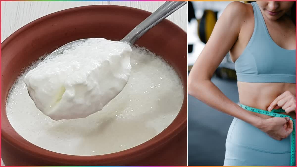 Curd Benefits