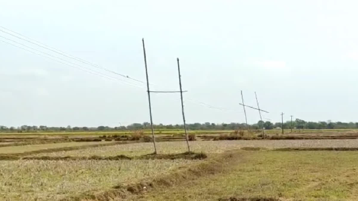 electric wire is passes through bamboo poles