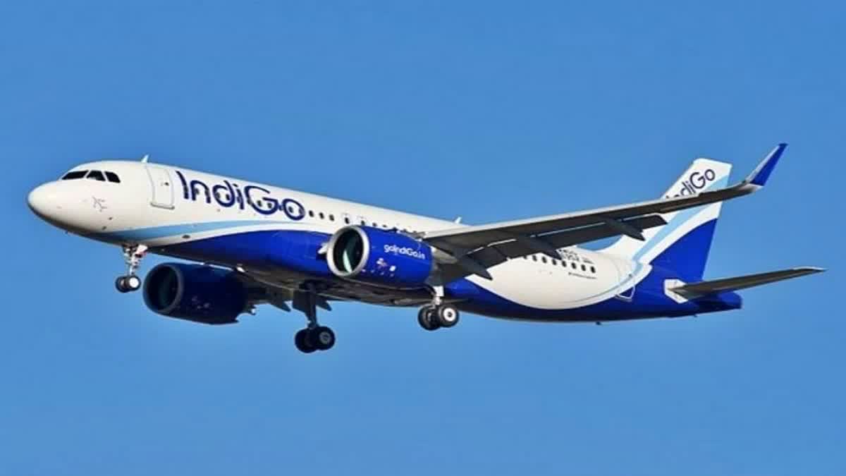 IndiGo passenger held for overdrinking  IndiGo  IndiGo passenger arrested  indigo passenger arrested for molested female crew  മദ്യപിച്ച് വിമാനത്തിൽ ബഹളം വച്ചു  എയർ ഹോസ്റ്റസിനെ ശല്യപ്പെടുത്തി  മദ്യപിച്ച് വിമാനത്തിൽ ബഹളമുണ്ടാക്കി  വിമാനം യാത്രക്കാരൻ അറസ്റ്റിൽ  ഇൻഡിഗോ  ഇൻഡിഗോ വിമാനം  ഇൻഡിഗോ വിമാനത്തിലെ യാത്രക്കാരൻ അറസ്റ്റിൽ  അമൃത്‌സർ  ഇൻഡിഗോ നമ്പർ 6E 1428