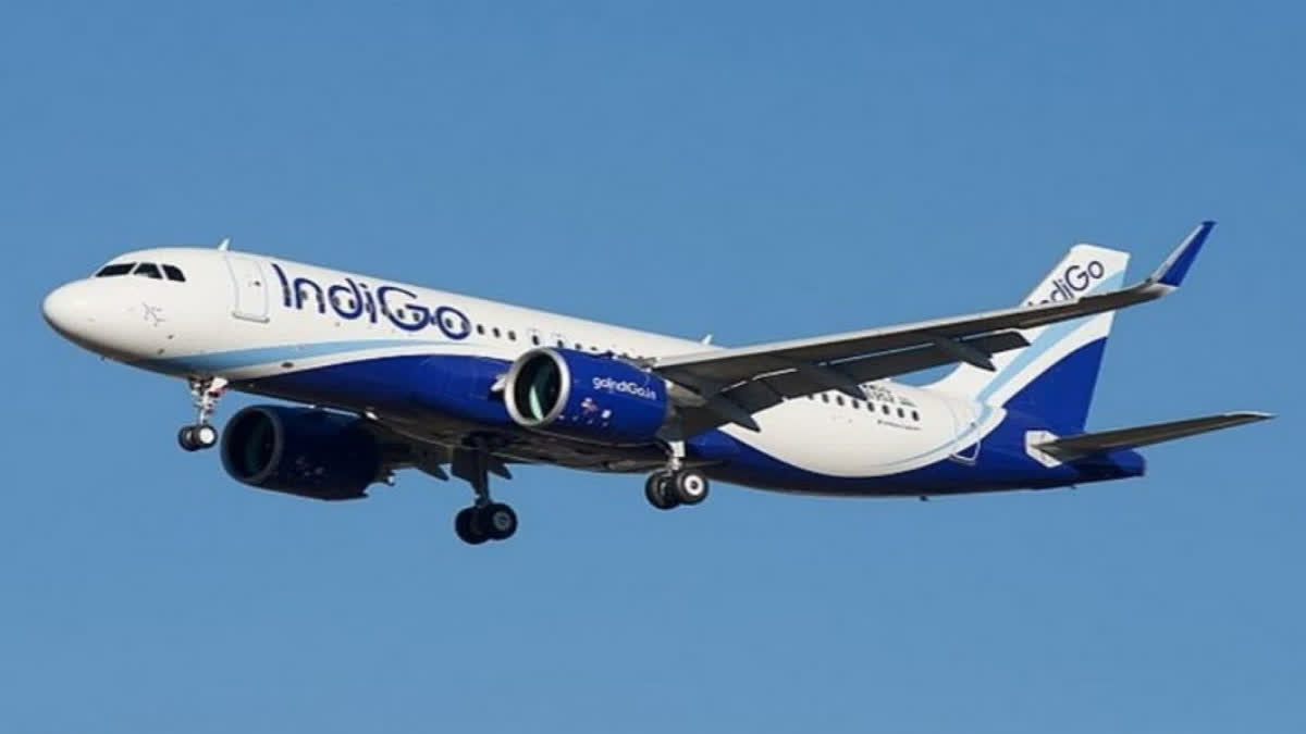 indigo flight news