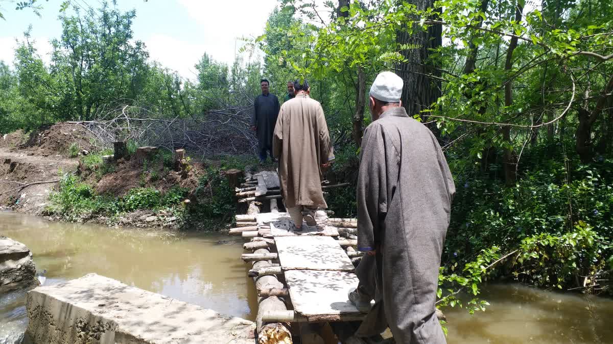 local-population-of-trich-and-pahoo-restored-the-irrigation