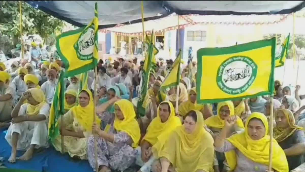 Farmers Protest:   ਬੁਢਲਾਡਾ ਵਿਖੇ ਕਿਸਾਨਾਂ ਨੇ ਐਸਡੀਐਮ ਦਫ਼ਤਰ ਬਾਹਰ ਕੀਤਾ ਰੋਸ ਪ੍ਰਦਰਸ਼ਨ