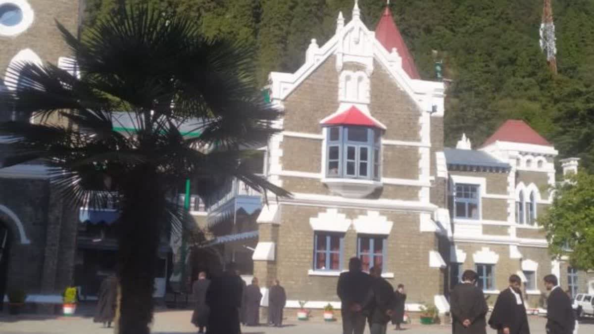 nainital high court news