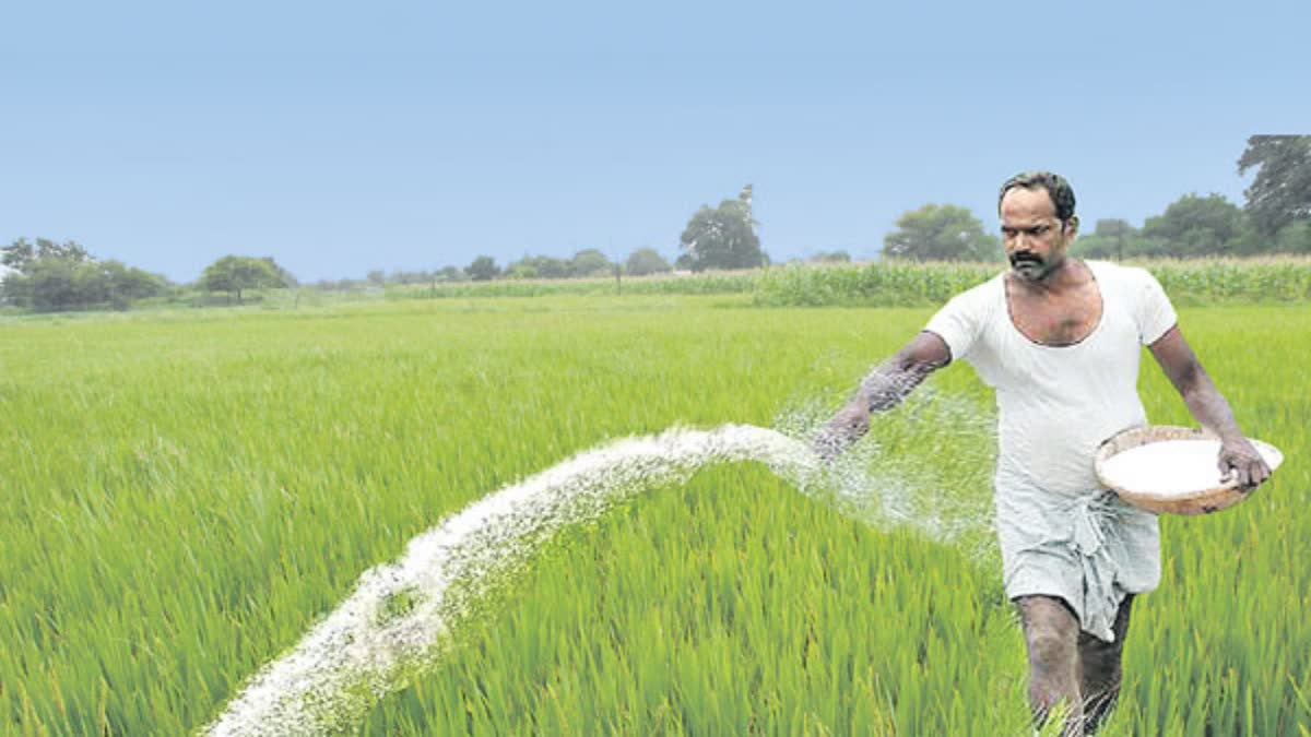 fertilizer subsidy news