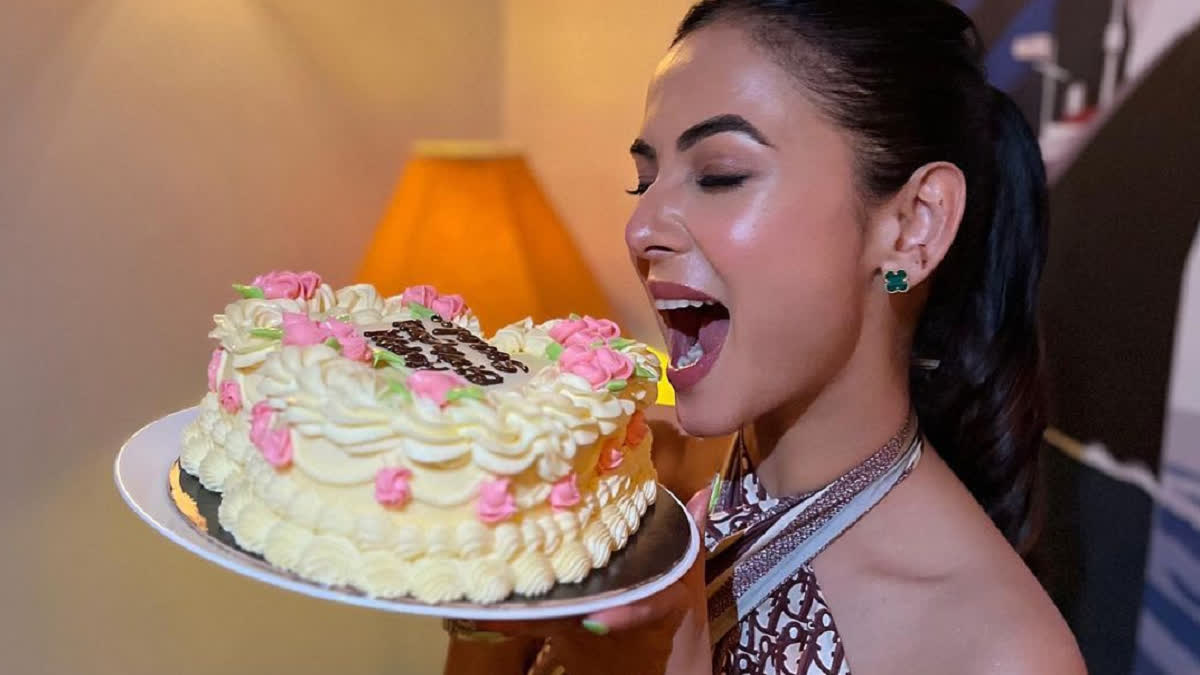 jannat fam sonal chauhan celebrates her birthday