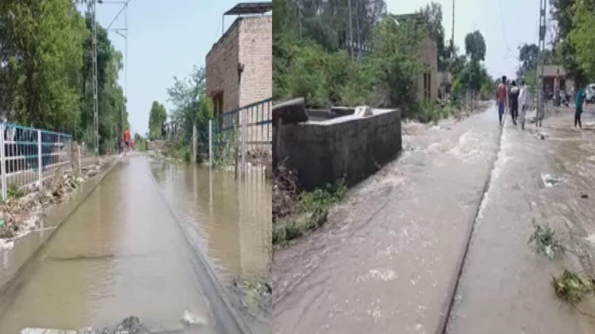 Train service affected in Bathinda, railway track submerged in water