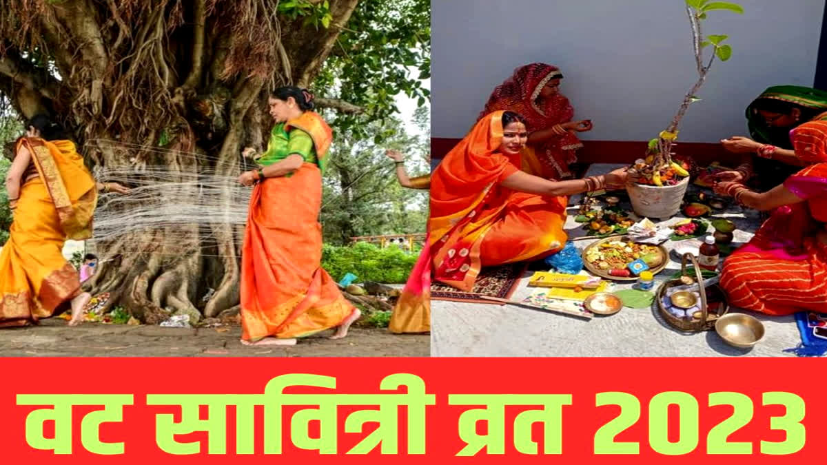 Vat Savitri Vrat 2023