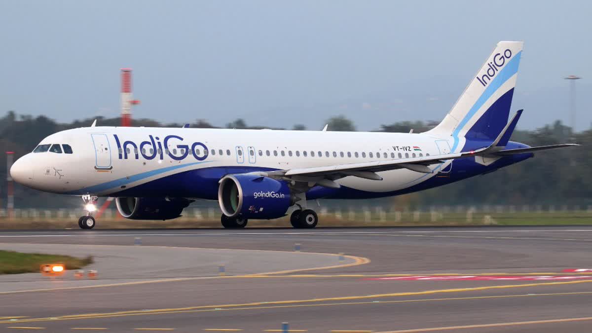 indigo airline