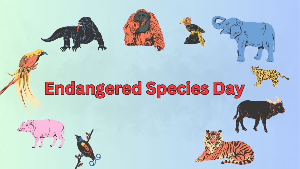 Endangered Species Day