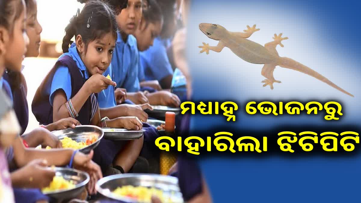 ସ୍କୁଲ ମଧ୍ୟାହ୍ନ ଭୋଜନରୁ ବାହାରିଲା ଝିଟିପିଟି